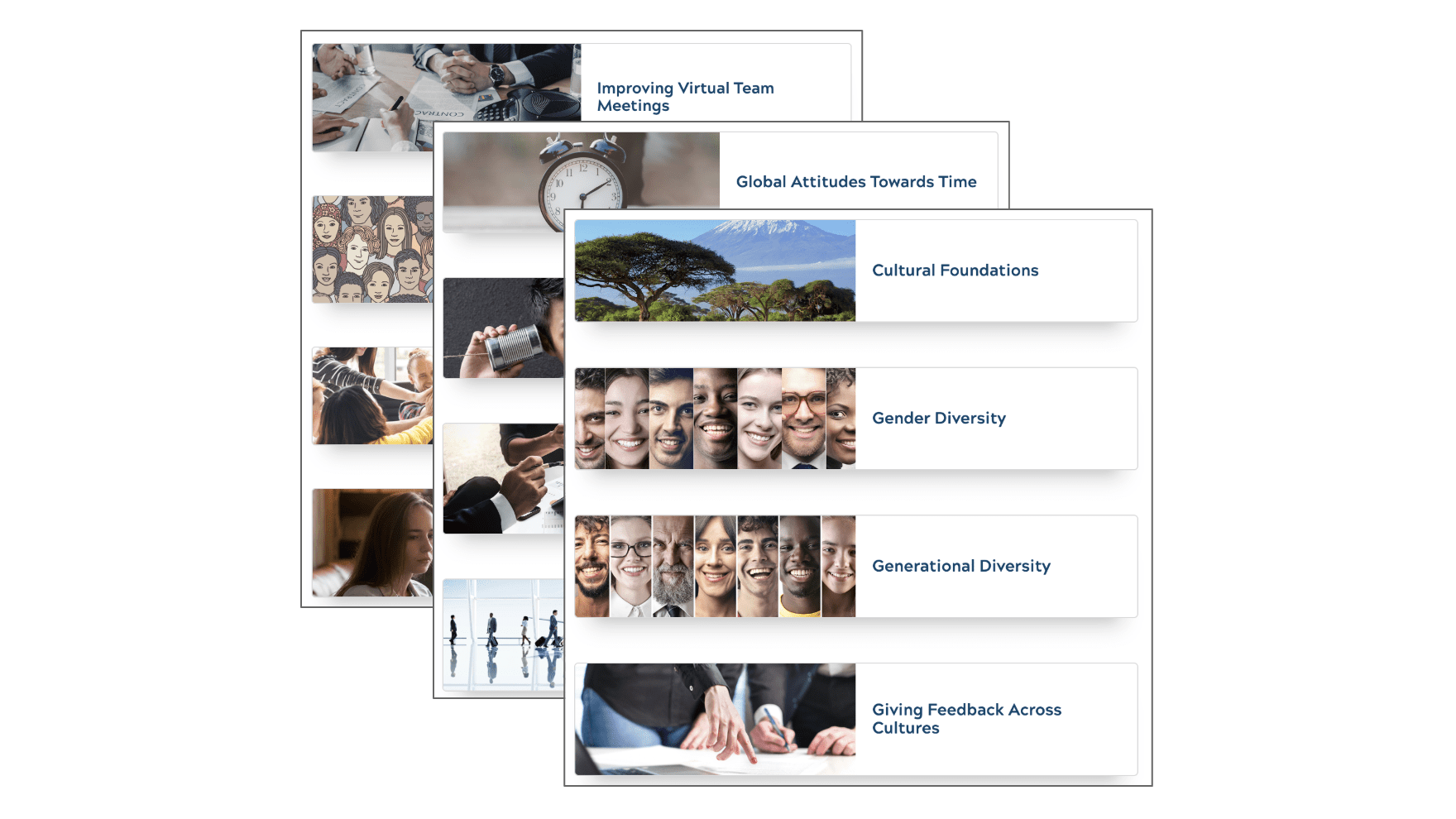 An example of the organization initiatives in Aperian Globals GlobeSmart learning platform.