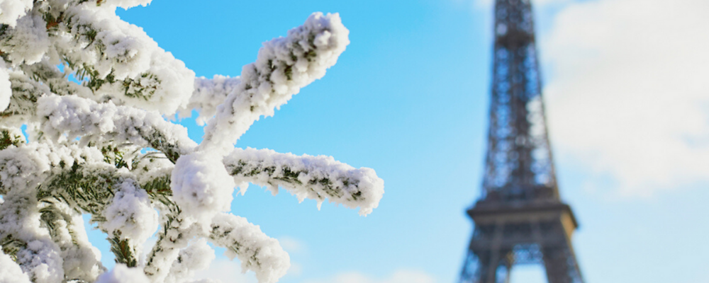 Image of snow on tree