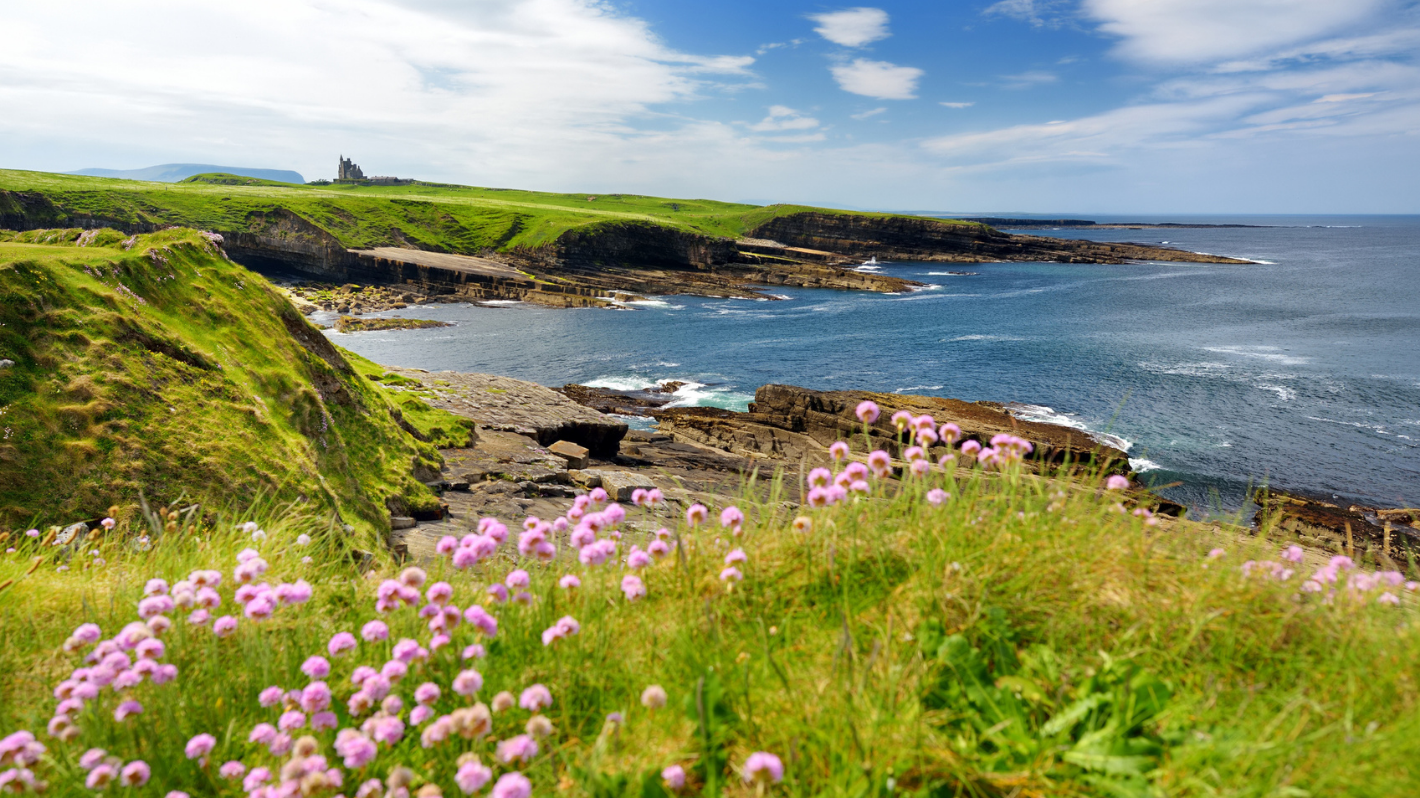 Ireland countryside