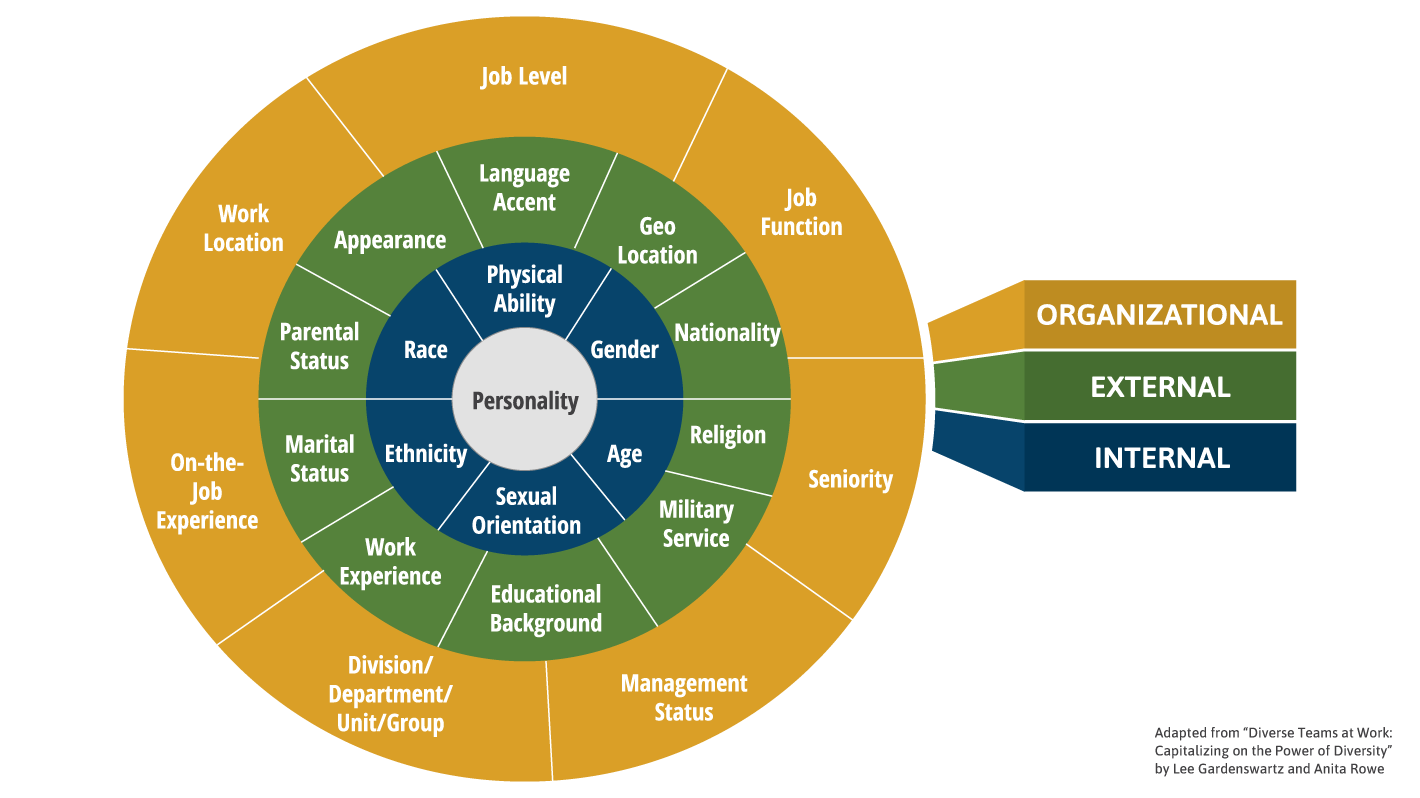 Diversity Wheel Graphic