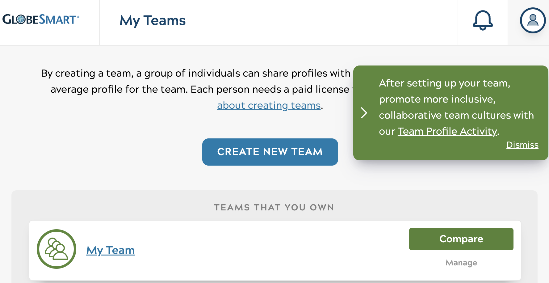 team activity GlobeSmart